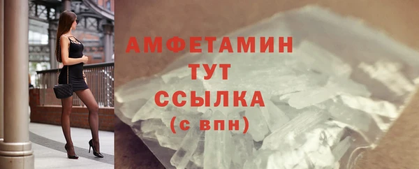 шишки Богородицк