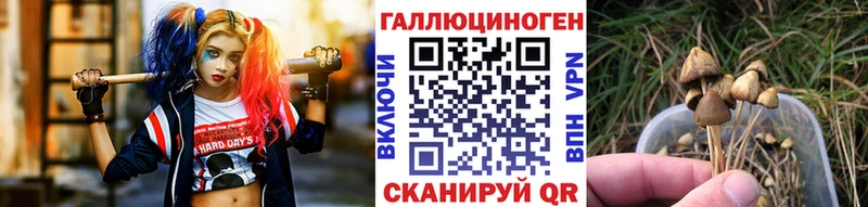 Псилоцибиновые грибы Psilocybine cubensis  где можно купить наркотик  Верхоянск 